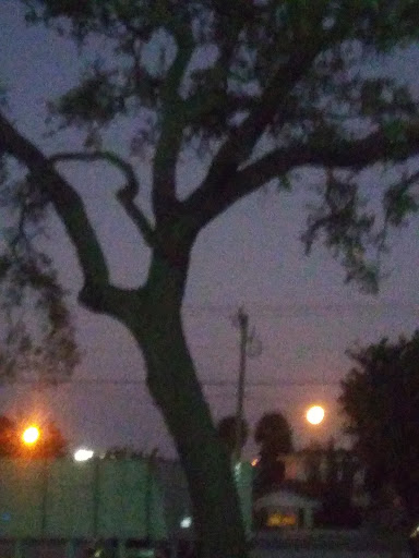 Mobile Home Park «Rocky Water Park», reviews and photos, 2664 Pineapple Ave, Melbourne, FL 32935, USA