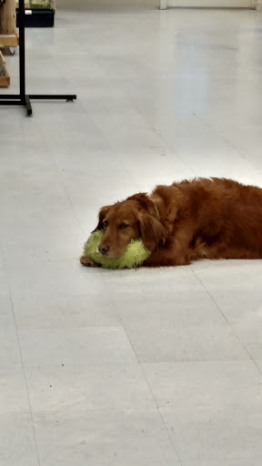 Pet Supply Store «Paws In The Park», reviews and photos, 17833 1st Avenue South, Seattle, WA 98148, USA