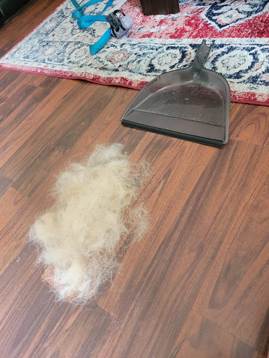 Pet Supply Store «Pet Supplies Plus», reviews and photos, 22124 Ecorse Rd, Taylor, MI 48180, USA