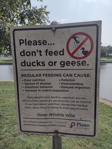 Park «Big Lake Park», reviews and photos, 3800 Rainier Rd, Plano, TX 75023, USA