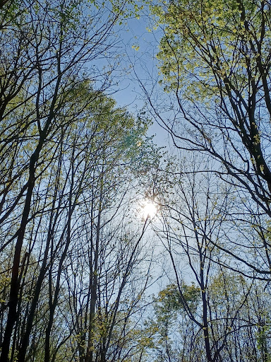 Park «Sodalis Nature Park», reviews and photos, 7700 S County Rd 975 E, Plainfield, IN 46168, USA