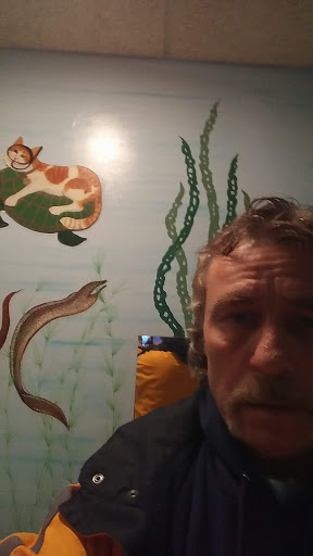 Coffee Shop «Angel Falls Coffee Company», reviews and photos, 792 W Market St, Akron, OH 44303, USA