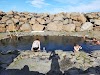 Reykir - Grettislaug Logo, Sauðarkrokur, Iceland, Outdoor Swimming Pool