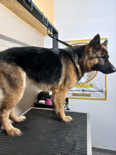 Encantados Córdoba Peluquería Canina y Felina