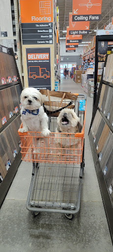 Home Improvement Store «The Home Depot», reviews and photos, 870 Woodstock Rd, Roswell, GA 30075, USA