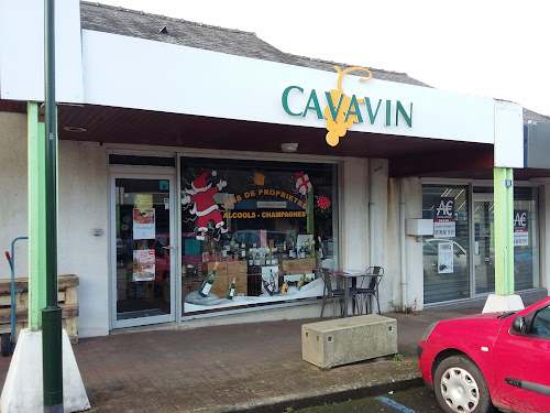 Magasin de vins et spiritueux Cavavin Carquefou Carquefou