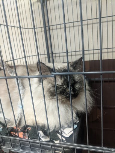 Pet Supply Store «Petco Animal Supplies», reviews and photos, 330 Orchard Park Rd, West Seneca, NY 14224, USA