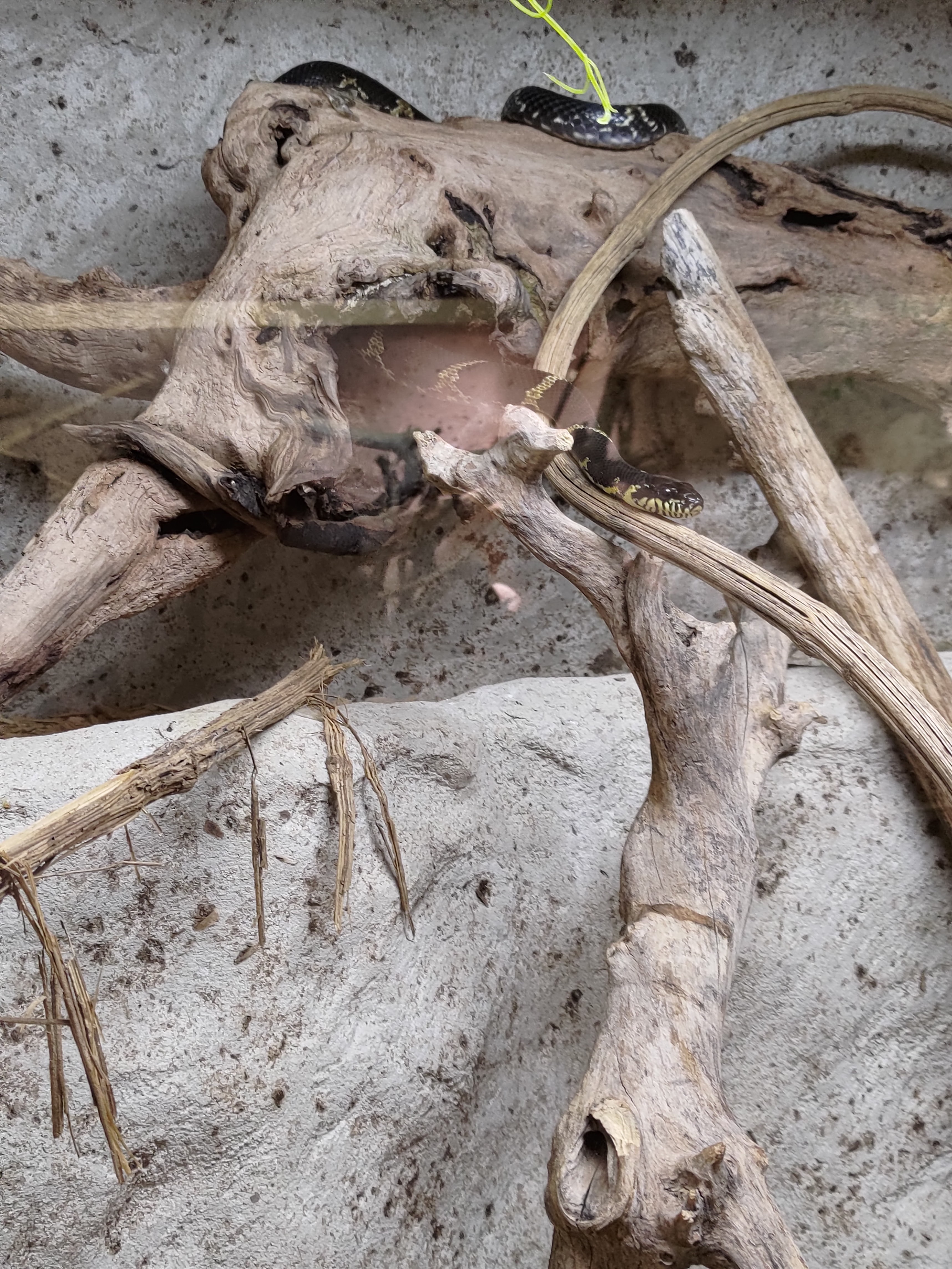 Photo n° 1 de l'avis de Nest.3 fait le 13/07/2023 à 19:12