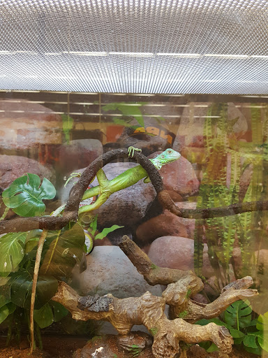 Pet Supply Store «Petco Animal Supplies», reviews and photos, 187 Stonebrook Pl, Jackson, TN 38305, USA