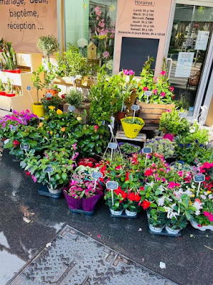 Fleuriste Arum&sens Nice à Nice