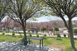 Amman Martyrs Park image