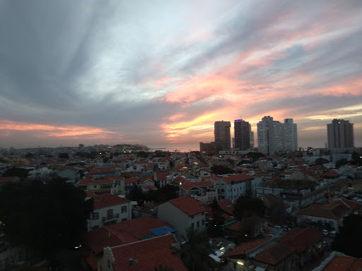 The Library Tel Aviv - הספרייה