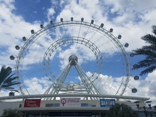 Museum «SKELETONS: Museum Of Osteology», reviews and photos, 8441 International Dr Suite 250, Orlando, FL 32819, USA