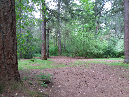 Golf Course «Fort Steilacoom Golf Course», reviews and photos, 8202 87th Ave SW, Lakewood, WA 98499, USA