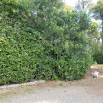 Photo n°15 de l'avis de Dani.l fait le 24/06/2018 à 20:44 sur le  Hotel Solara Area Camper à Conca Specchiulla