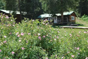 Ute Lodge image