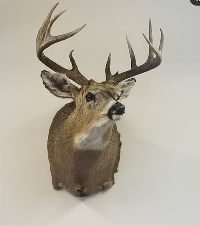 Northwoods Taxidermy Co
