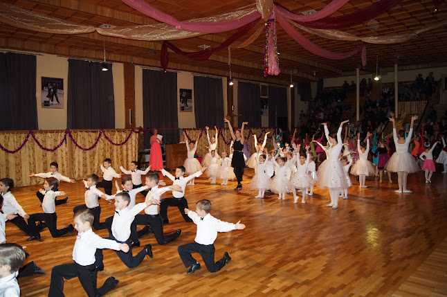 Opinii despre Clubul De Dans Sportiv "Dansul Viorilor" în <nil> - Școală de dans