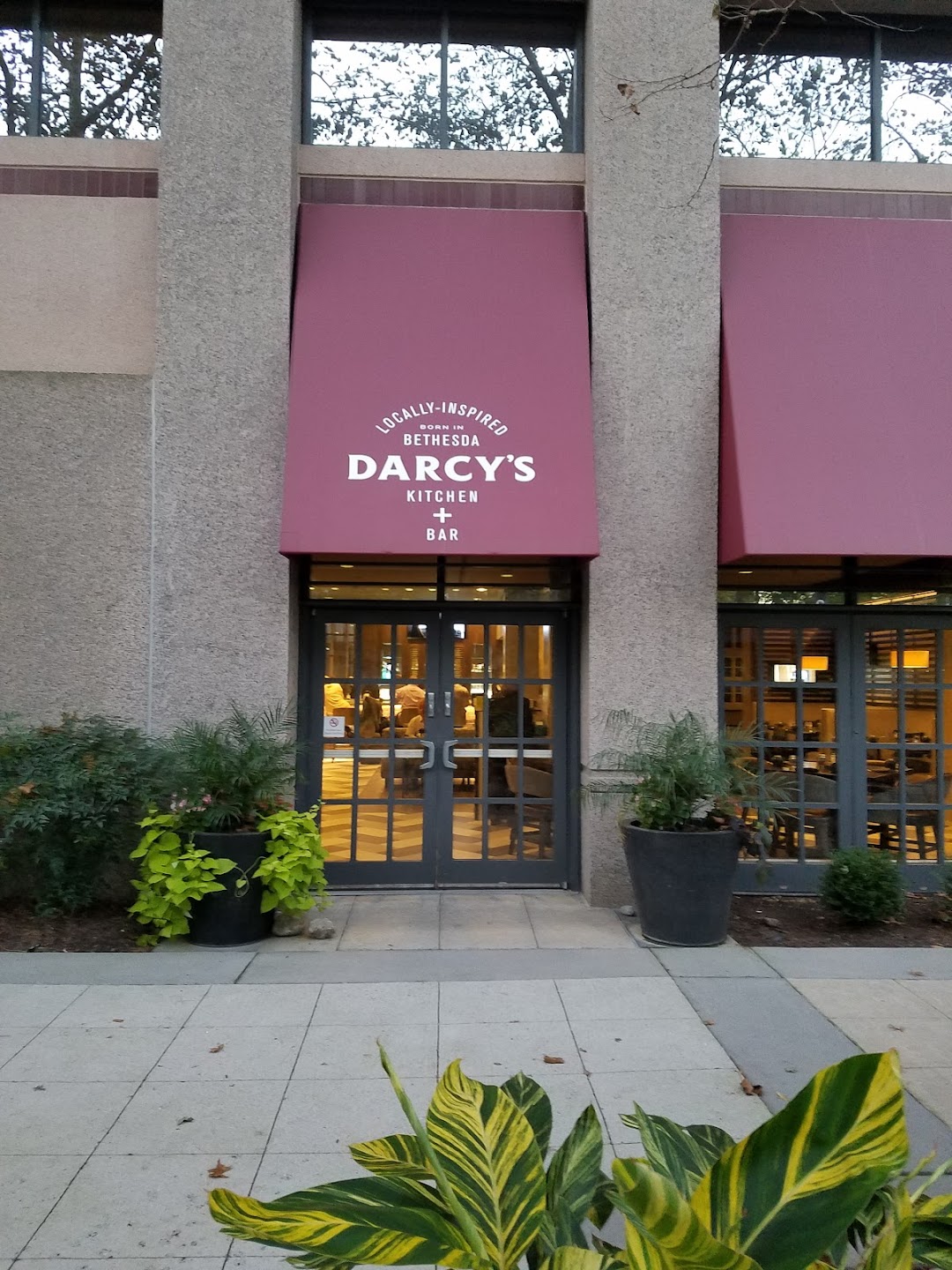 Darcys Bar Kitchen