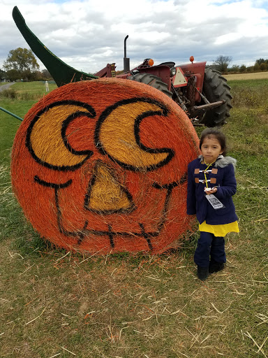 Produce Market «Solly Brothers», reviews and photos, 707 Almshouse Rd, Warminster, PA 18974, USA