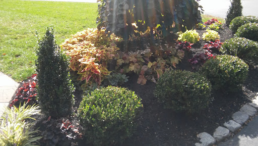 Grocery Store «Primos Mini Market», reviews and photos, 37 Strode Ave, Coatesville, PA 19320, USA