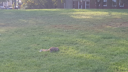 War Memorial «Bunker Hill Monument», reviews and photos, Monument Sq, Charlestown, MA 02129, USA