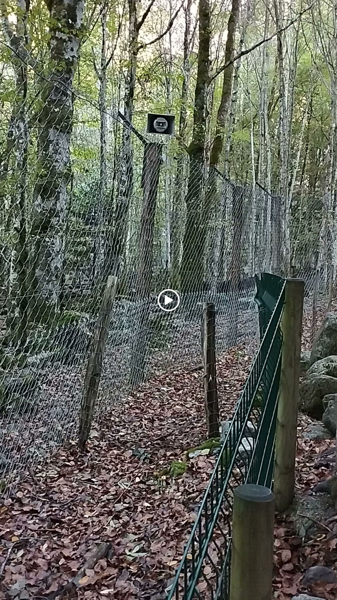 Photo n° 3 de l'avis de Manou. fait le 30/10/2023 à 05:45