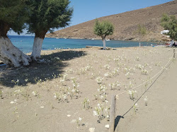 Paralia Flampouria'in fotoğrafı birden fazla geniş koy ile birlikte