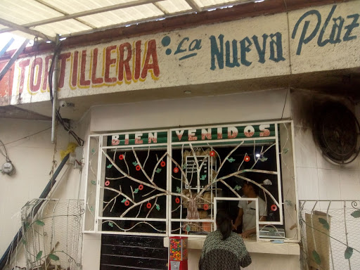 Tortillería la plaza