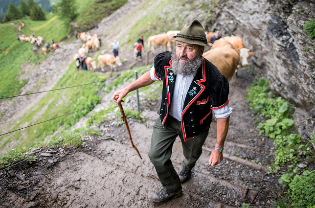 Rezensionen über Fotograf Bern, Thomas Hodel in Bern - Fotograf