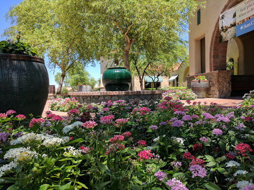 Home Builder «Sun City Festival by Del Webb», reviews and photos