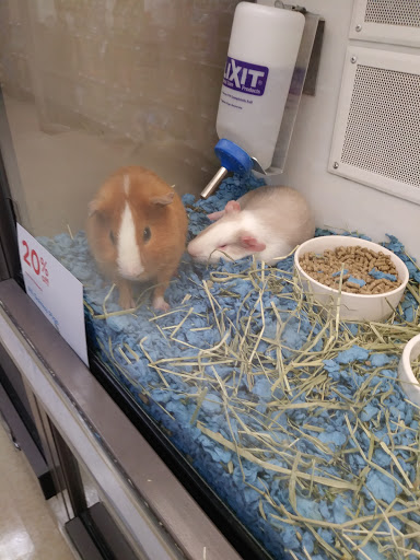 Pet Supply Store «Petco Animal Supplies», reviews and photos, 168 Ames Dr, Barre, VT 05641, USA