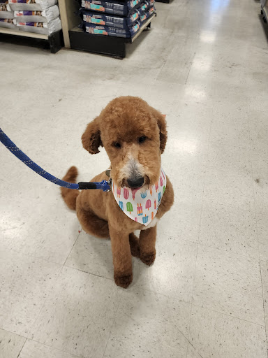 Pet Supply Store «PetSmart», reviews and photos, 15042 Summit Ave, Fontana, CA 92336, USA