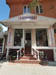 Магазин за цветя Багреница