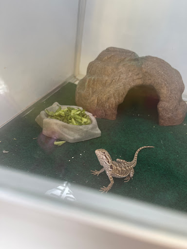 Pet Store «Yuppy Puppy Pet Shop», reviews and photos, 292 Frantz Rd, Stroudsburg, PA 18360, USA