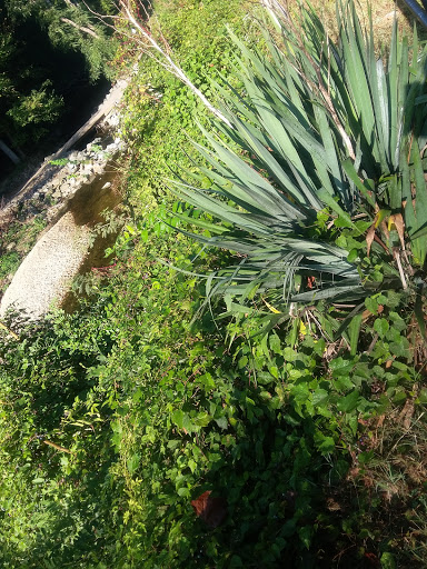 Golf Course «Bluemont Park Disc Golf Course», reviews and photos, 399 N Manchester St, Arlington, VA 22203, USA