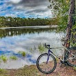 Tomoka Trail / Tiger Bay State Forest Woody Trail