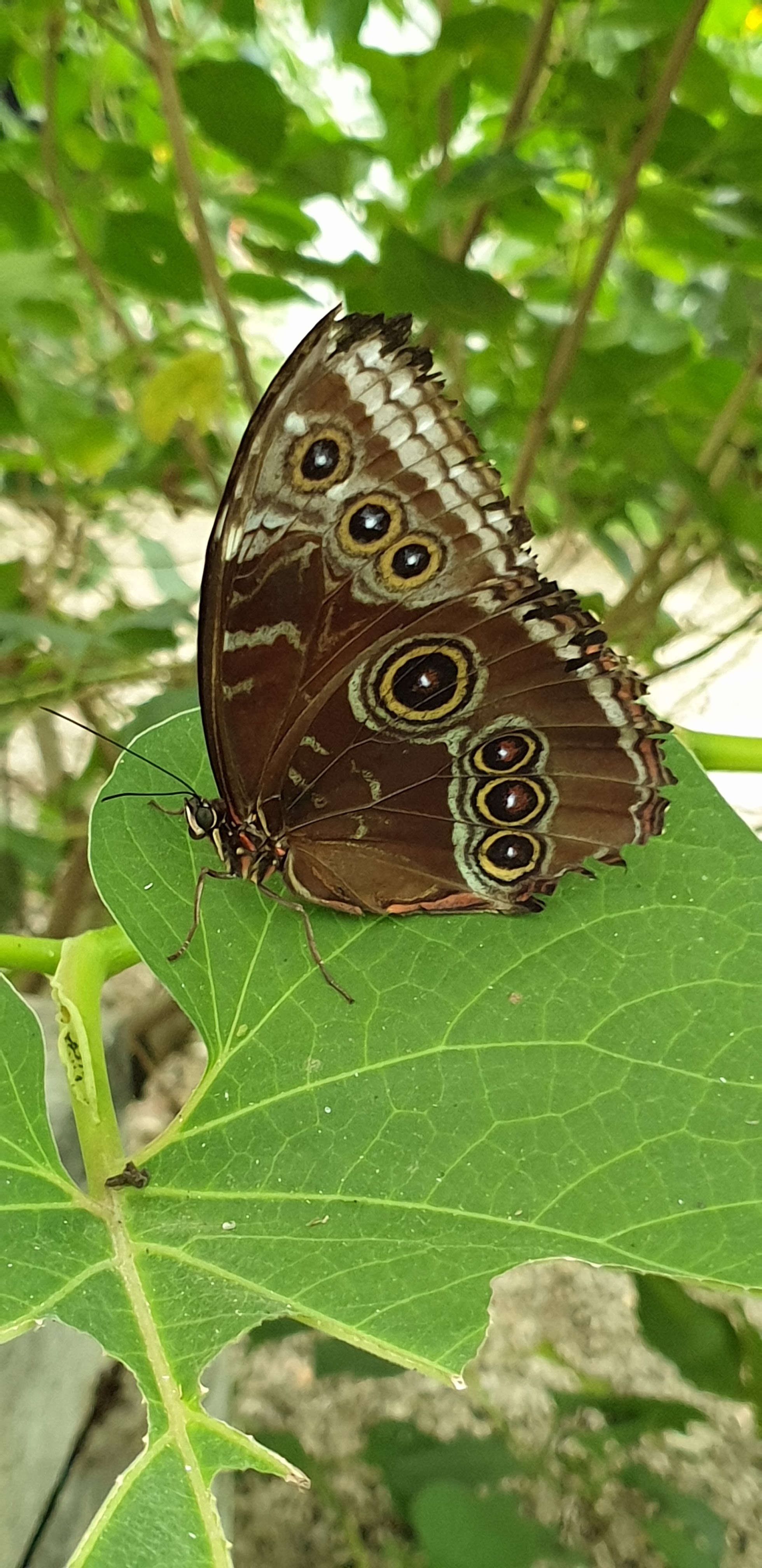 Photo n° 17 de l'avis de Severine.o fait le 30/07/2019 à 11:31