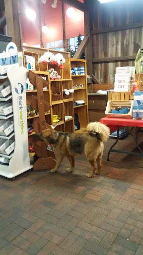 Pet Supply Store «Appalachian Tails Pet Company», reviews and photos, 119 Griswold St, Glastonbury, CT 06033, USA