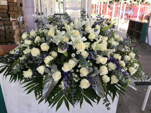 Florist «Rosewood Flower Shop», reviews and photos, 4821 Fannin St, Houston, TX 77004, USA