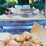 Photo n°19 de l'avis de Benito.r fait le 21/07/2019 à 13:04 sur le  Seghetti Panichi à Castel di Lama