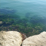 Photo n°7 de l'avis de scatti.m fait le 04/08/2020 à 08:21 sur le  ALOHA BEACH à Civitanova Marche