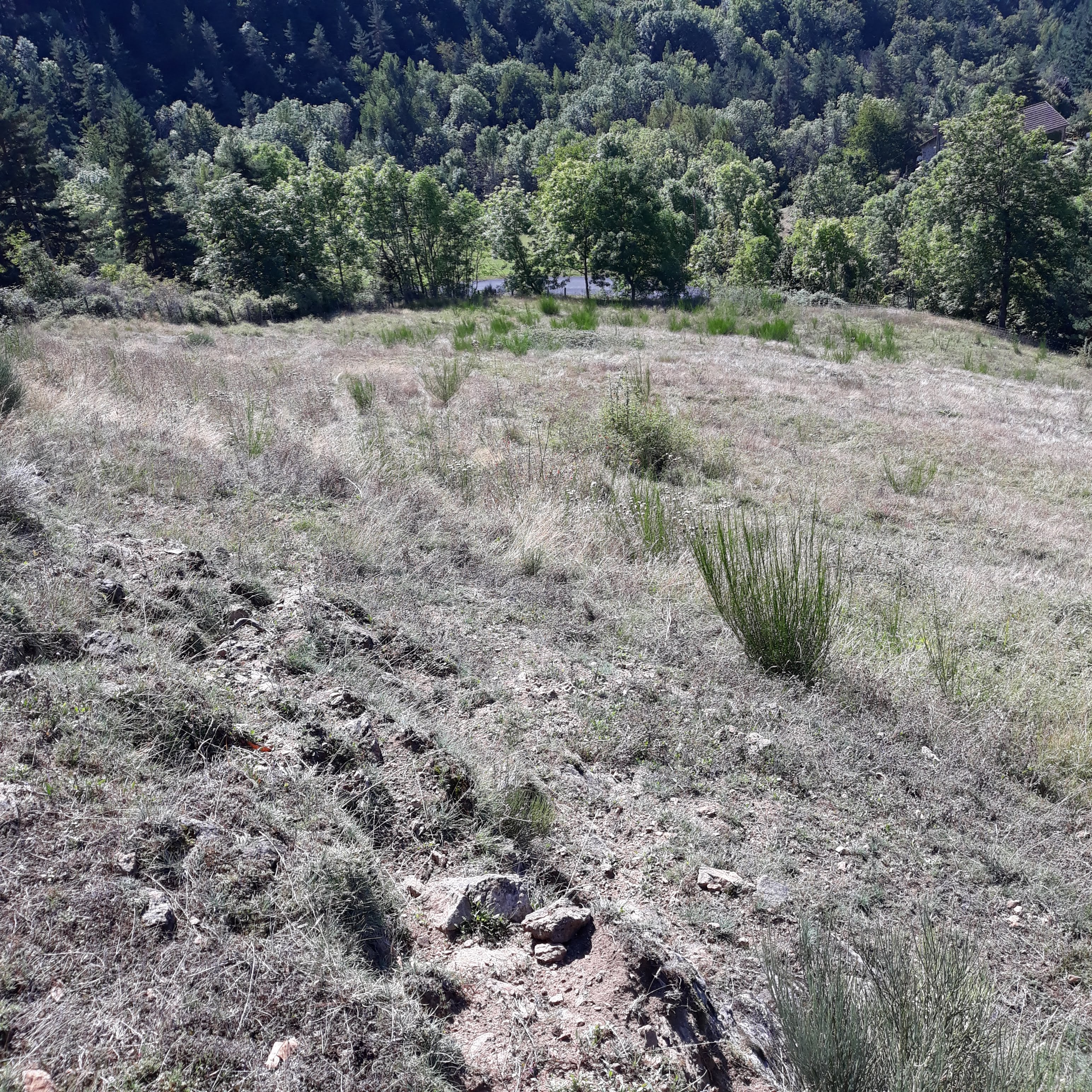 Photo n° 26 de l'avis de bruno. fait le 30/10/2021 à 14:12