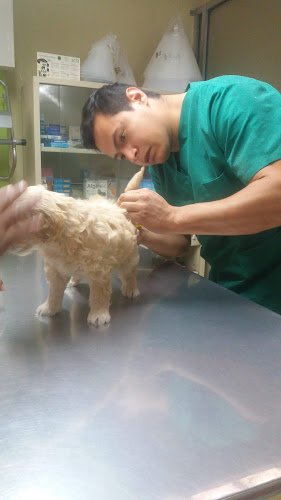 Opiniones de Clínica Veterinaria Rottweiler en Quito - Veterinario