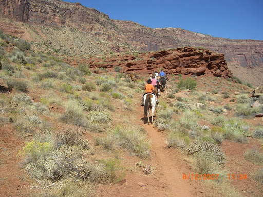Winery «Moab Castle Creek Winery», reviews and photos, 14 UT-128, Moab, UT 84532, USA