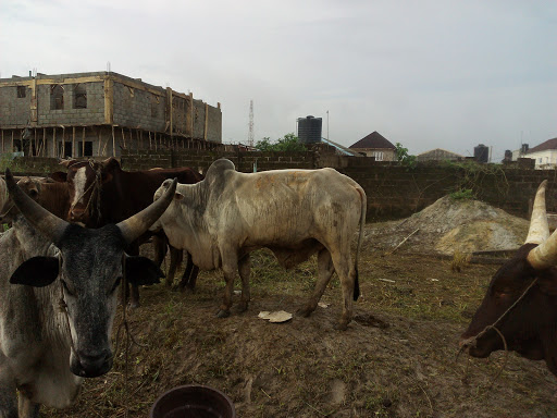 Beckley Estate, 2 Olaniyi St, Ifako-Ijaiye, Lagos, Nigeria, Landscaper, state Lagos