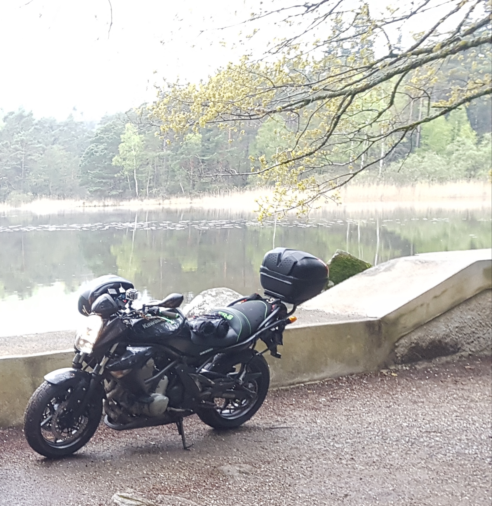 Photo n° 5 de l'avis de Geoffrey.u fait le 31/05/2019 à 02:03