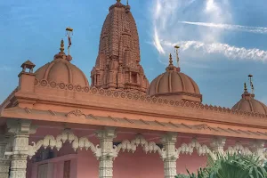 BAPS Shree Swaminarayan Mandir image