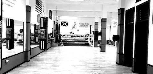 Gym Palenzuela Box - C. de Pedro de Valdivia, 20, 38010 Santa Cruz de Tenerife, Spain