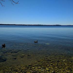 Hudson Park - review photo